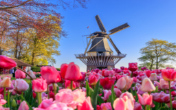 تور فرانسه + هلند