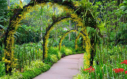 باغ گیاه شناسی