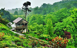 باغ گیاه شناسی باتومی